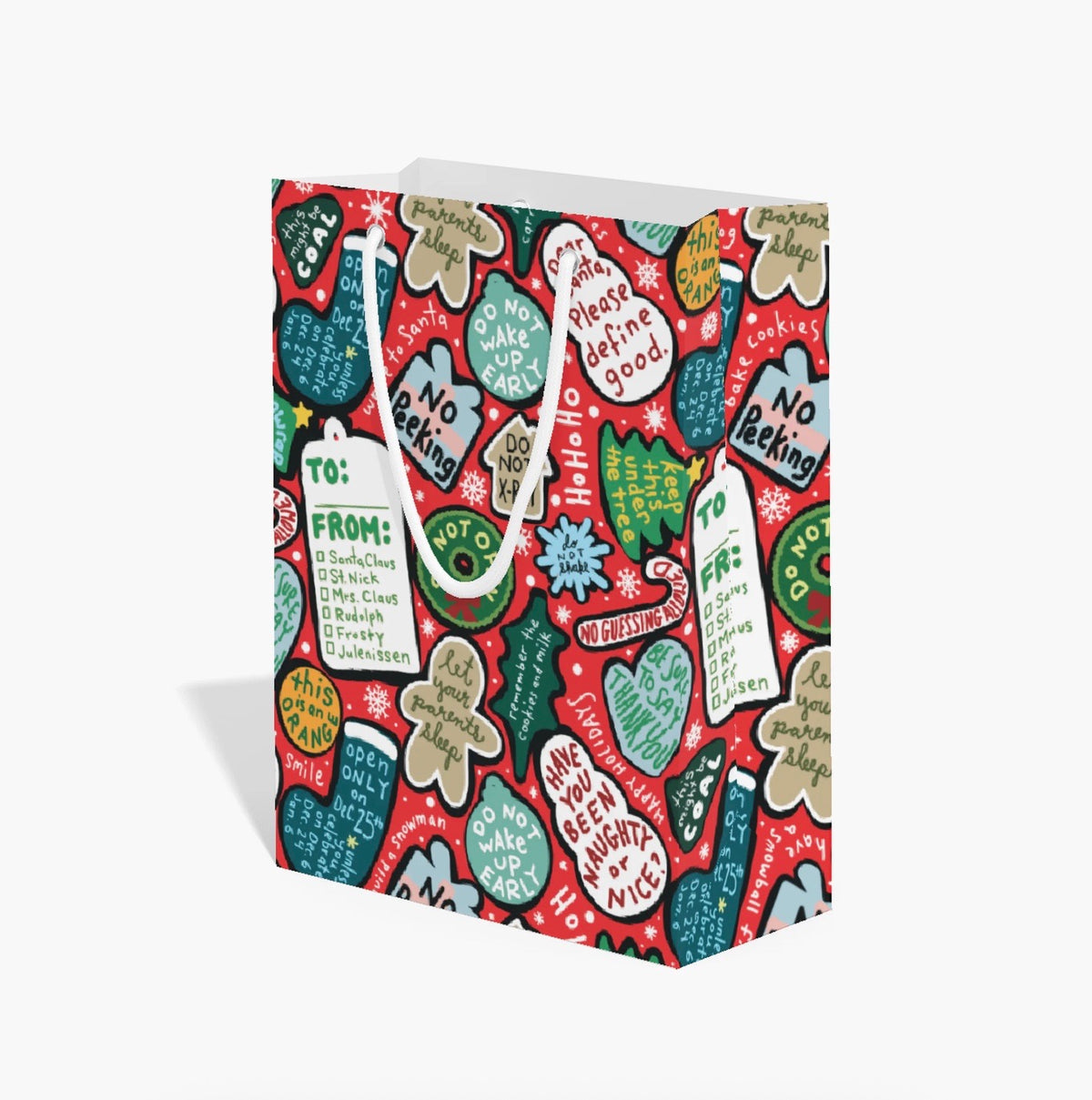 Merry Christmas Gift Bag