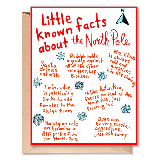 NORTH POLE FACTS CARD